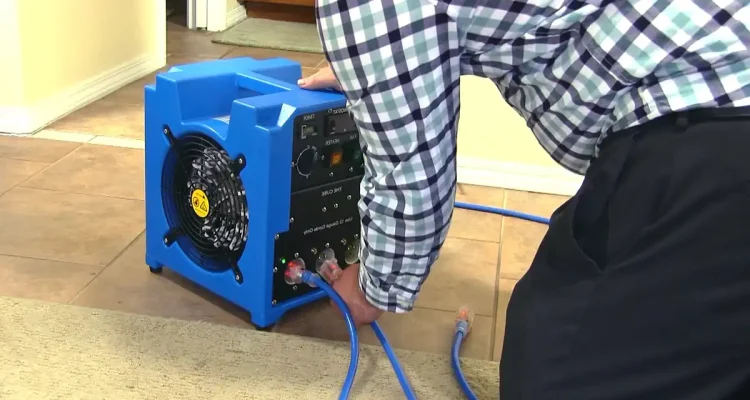 Common Myths About Bed Bug Heat Treatment Debunked